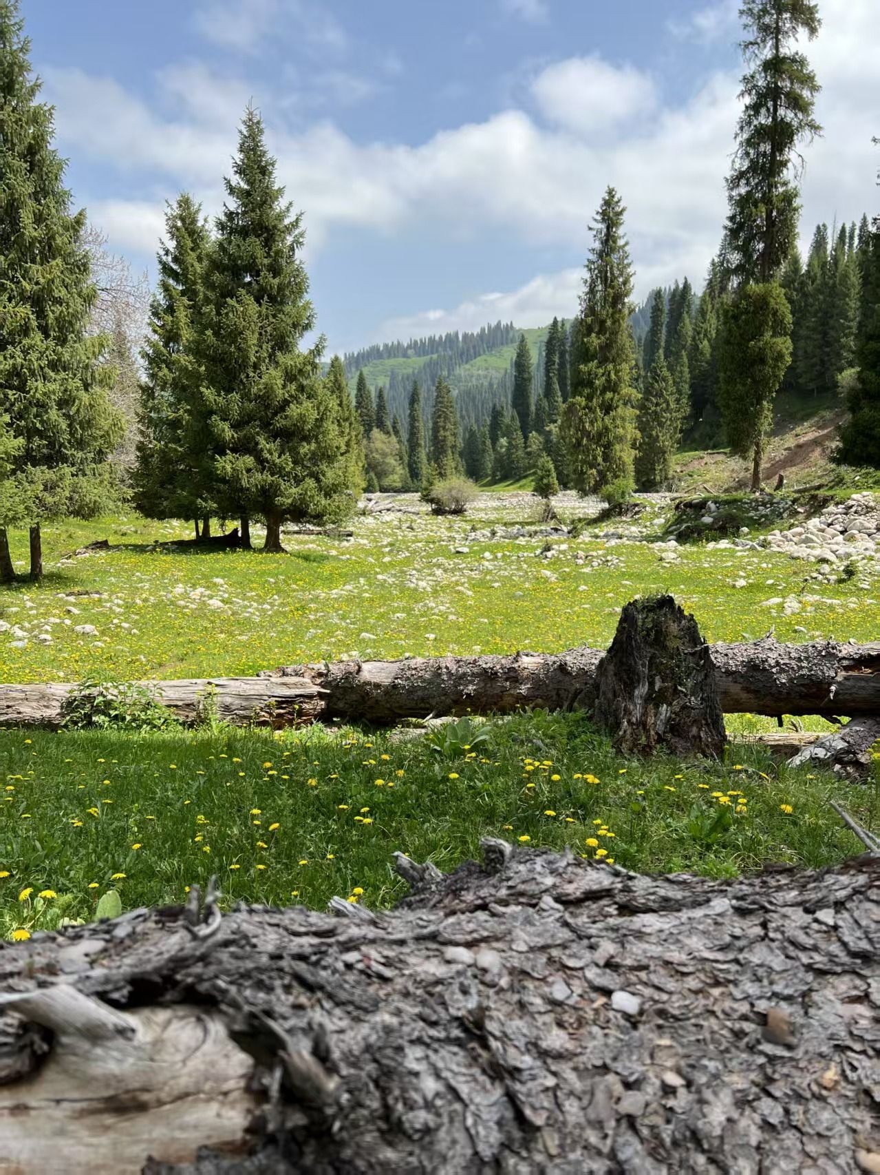 Book a Campsite Now